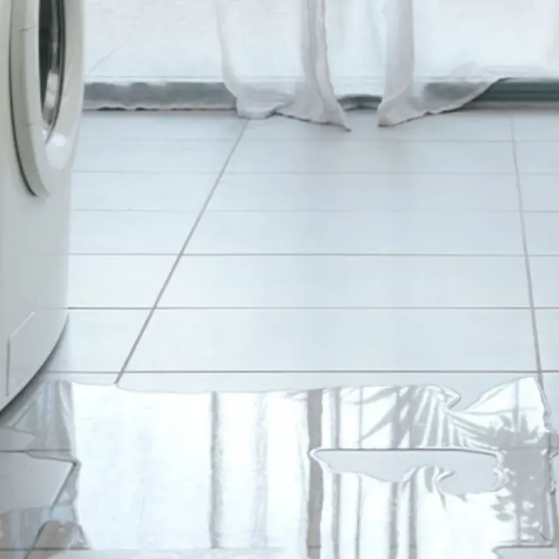 Appliance Leak Cleanup in Allen County, KY