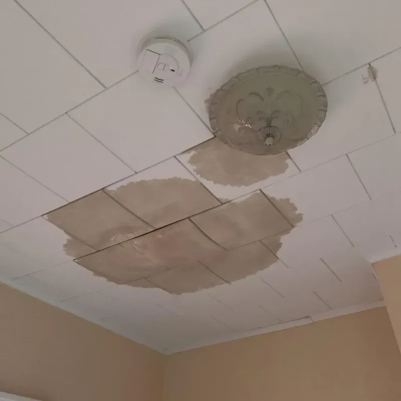 Ceiling Water Damage Repair in Allen County, KY