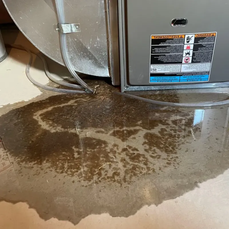 Pipe Burst and Leak Restoration in Allen County, KY