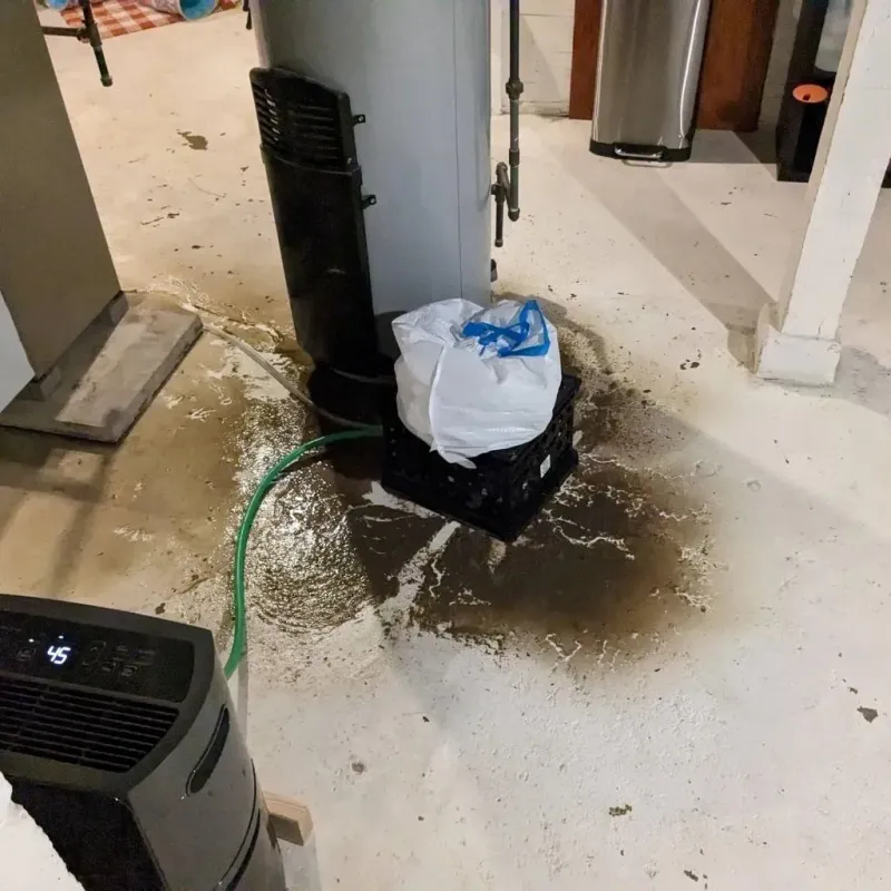 Sewage Backup Cleanup Service in Allen County, KY